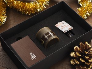 Komplekt 1754155